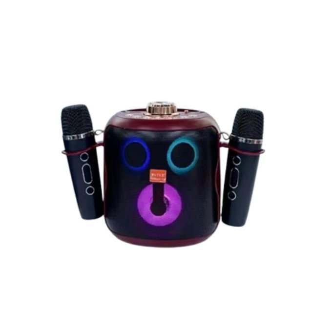 Haut-parleur Bluetooth portable WS930 avec 2 microphones