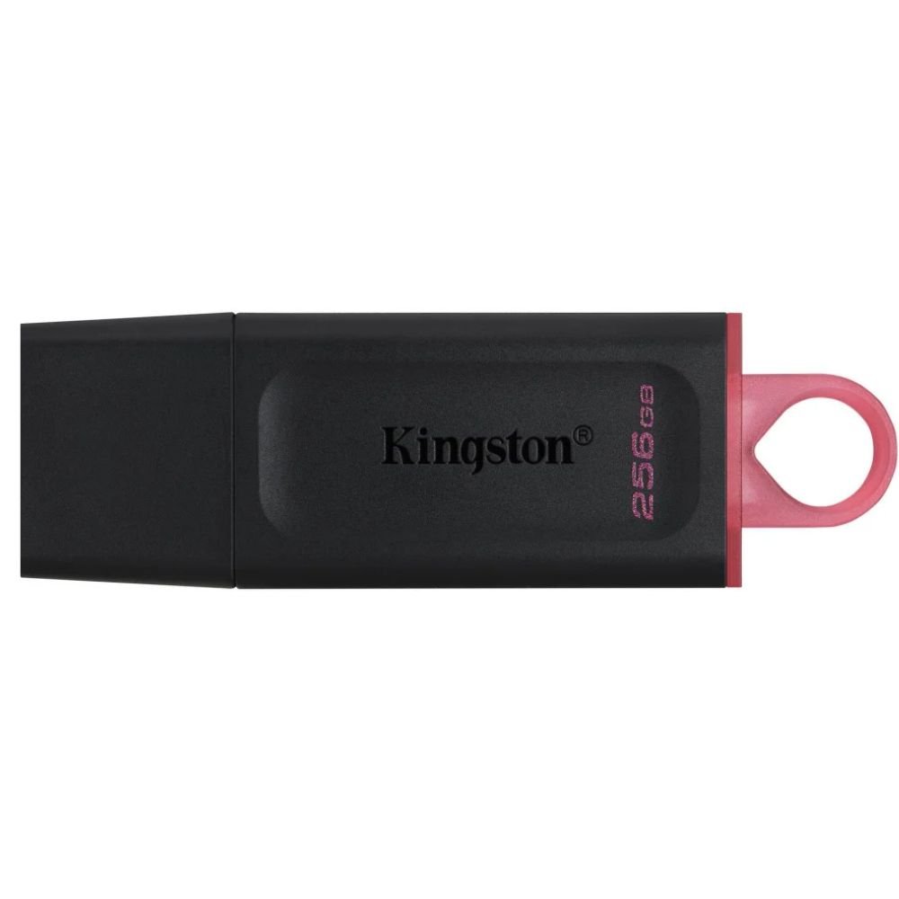 Clé USB Kingston Black 256 Go