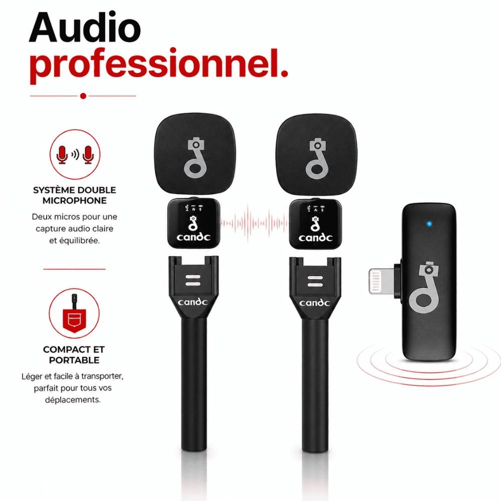 Microphone professionnel sans fil double CANDC